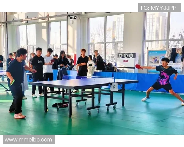 广州乒乓球队团队协作变革引发热议助力竞技水平提升